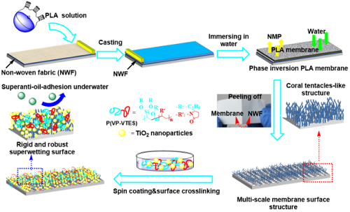 寧波材料所聚合物微孔膜剛性界面構造及油水分離研究獲進展